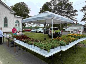 plant sale 7